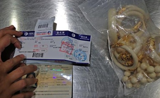 昆明機(jī)場(chǎng)X光機(jī)檢測(cè)通道發(fā)現(xiàn)9只象牙手鐲飾品[圖]