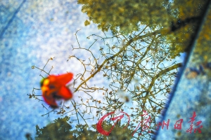 廣州墓園清明節(jié)祭祀活動(dòng)需先過(guò)安檢關(guān)